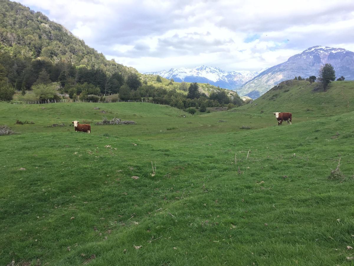 Turismo Rural Los Alpes Futaleufu Ngoại thất bức ảnh